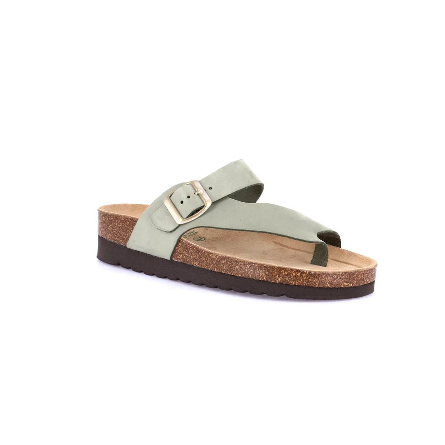 gid://shopify/Product/15752780906828_57515263426892