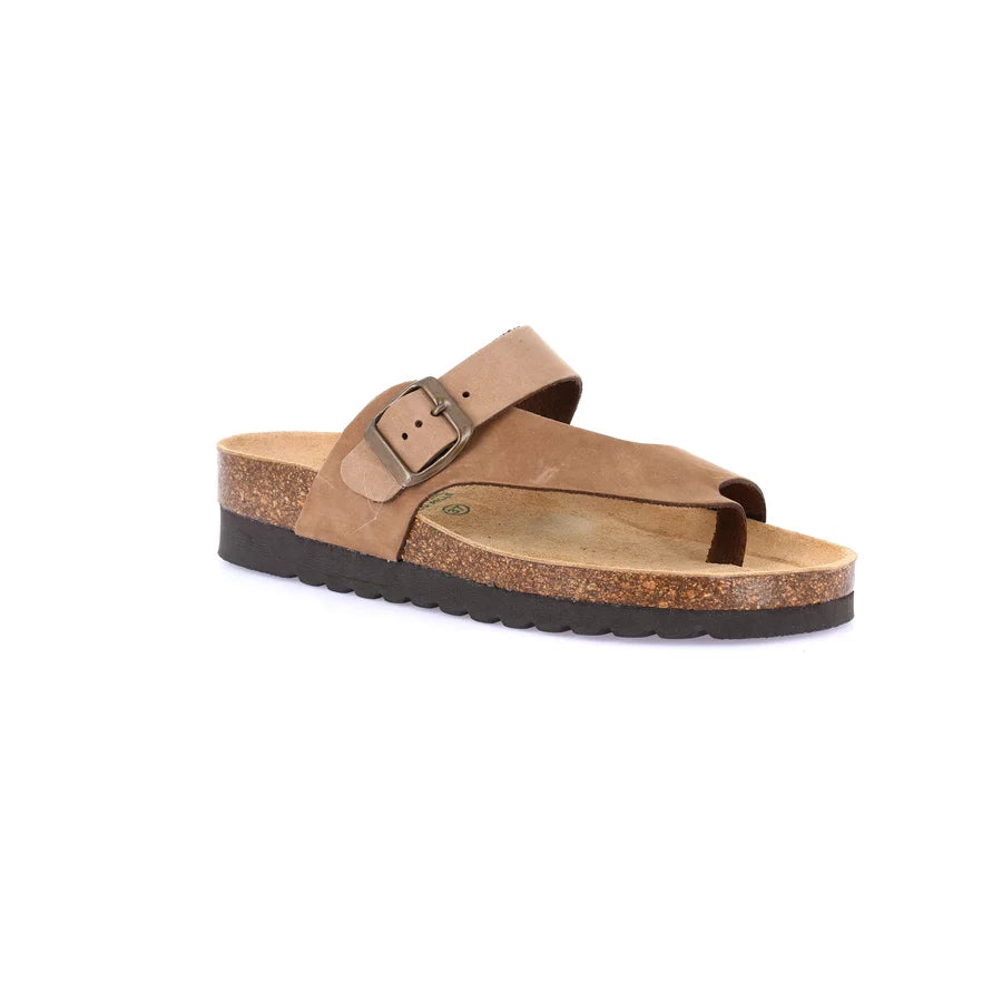 gid://shopify/Product/15752780906828_57515174854988