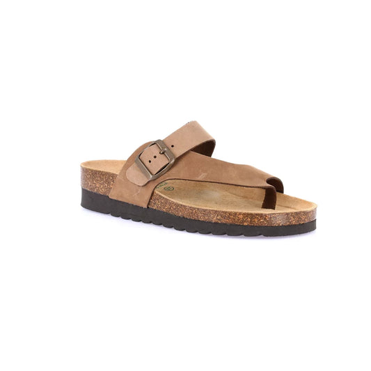 gid://shopify/Product/15752780906828_57515174854988