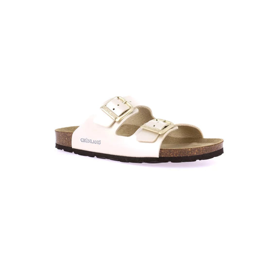 gid://shopify/Product/15712043696460_57339119501644