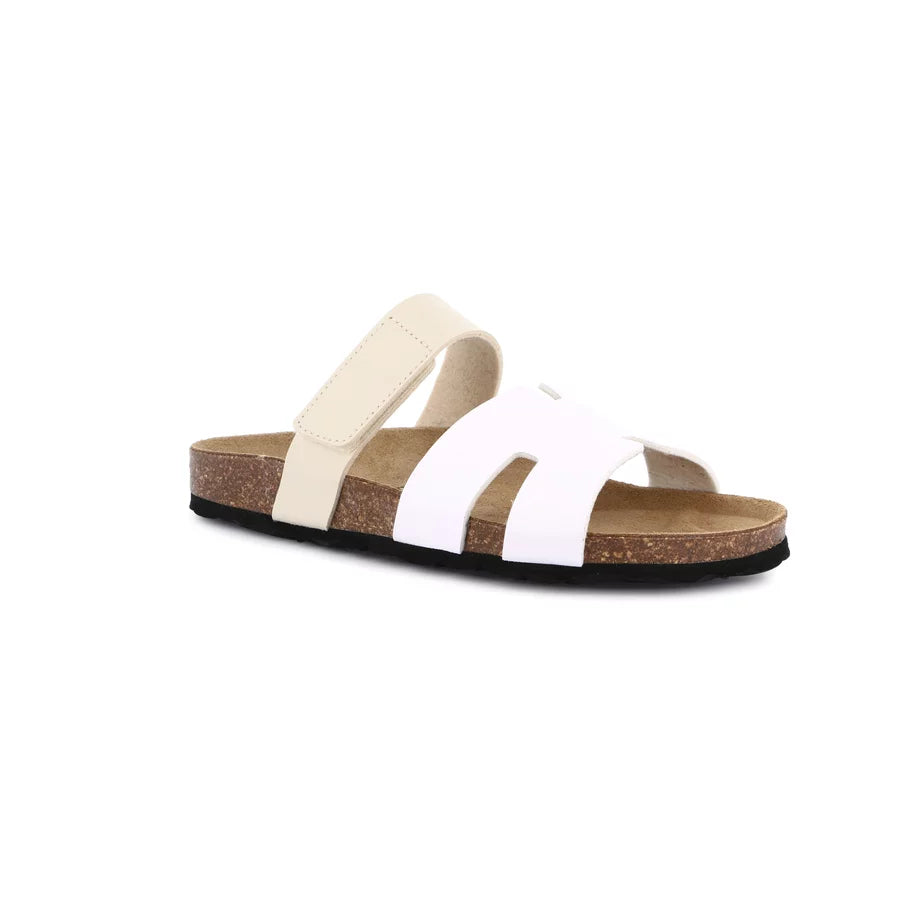 gid://shopify/Product/15754144579916_57519056519500