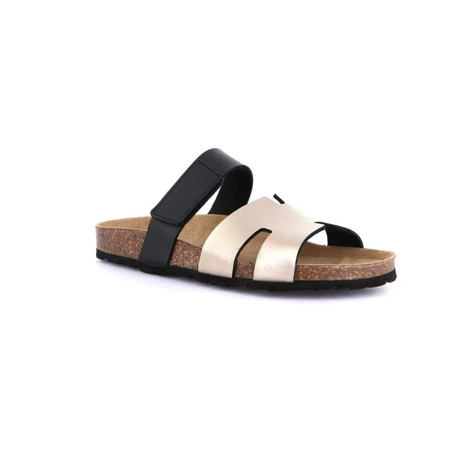 gid://shopify/Product/15754144579916_57519055503692