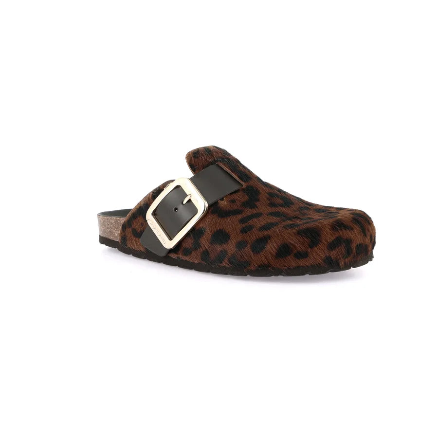 gid://shopify/Product/15754244817228_57519298249036