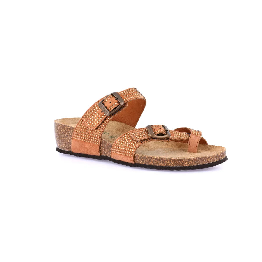 gid://shopify/Product/15712074662220_1