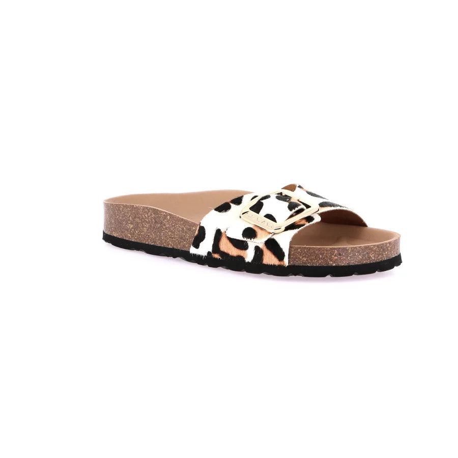 gid://shopify/Product/15712073777484_1