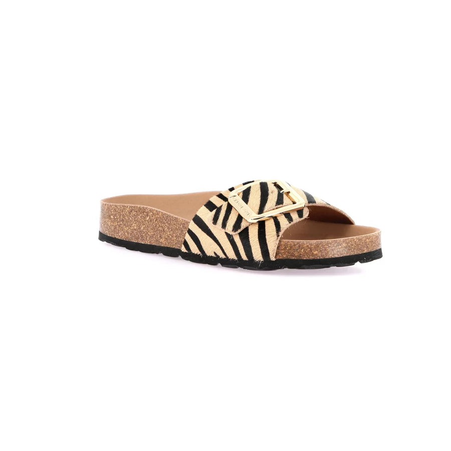 gid://shopify/Product/15712073777484_57339258995020