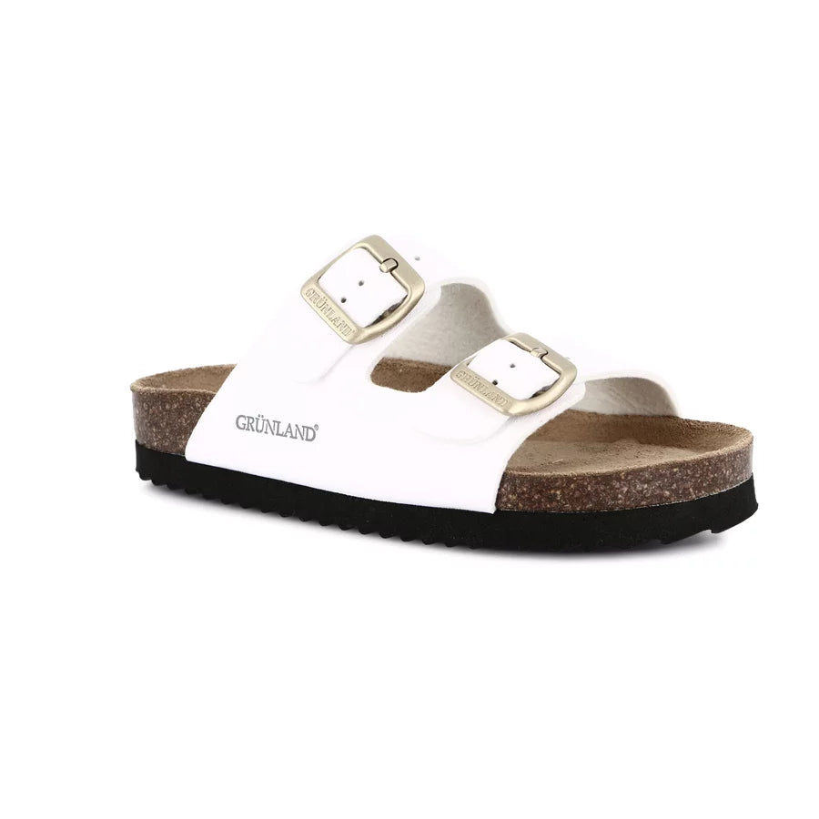 gid://shopify/Product/15713074839884_1