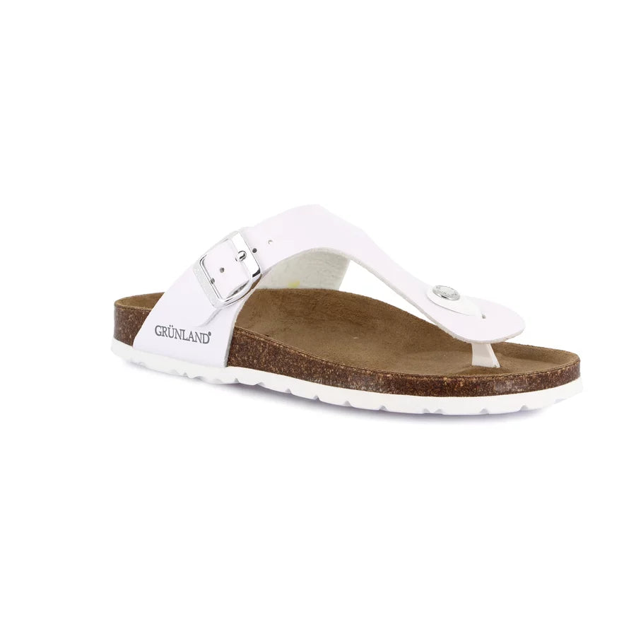 gid://shopify/Product/15752623489356_57514488627532