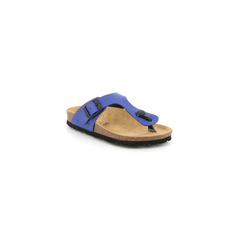 gid://shopify/Product/15752623489356_57514487972172