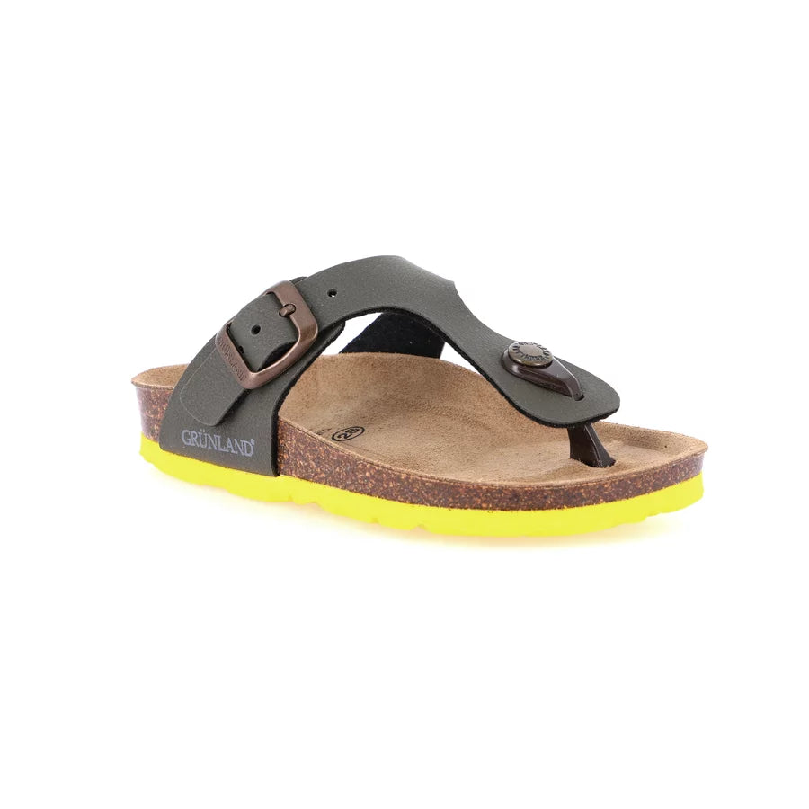 gid://shopify/Product/15711299469644_57335002169676