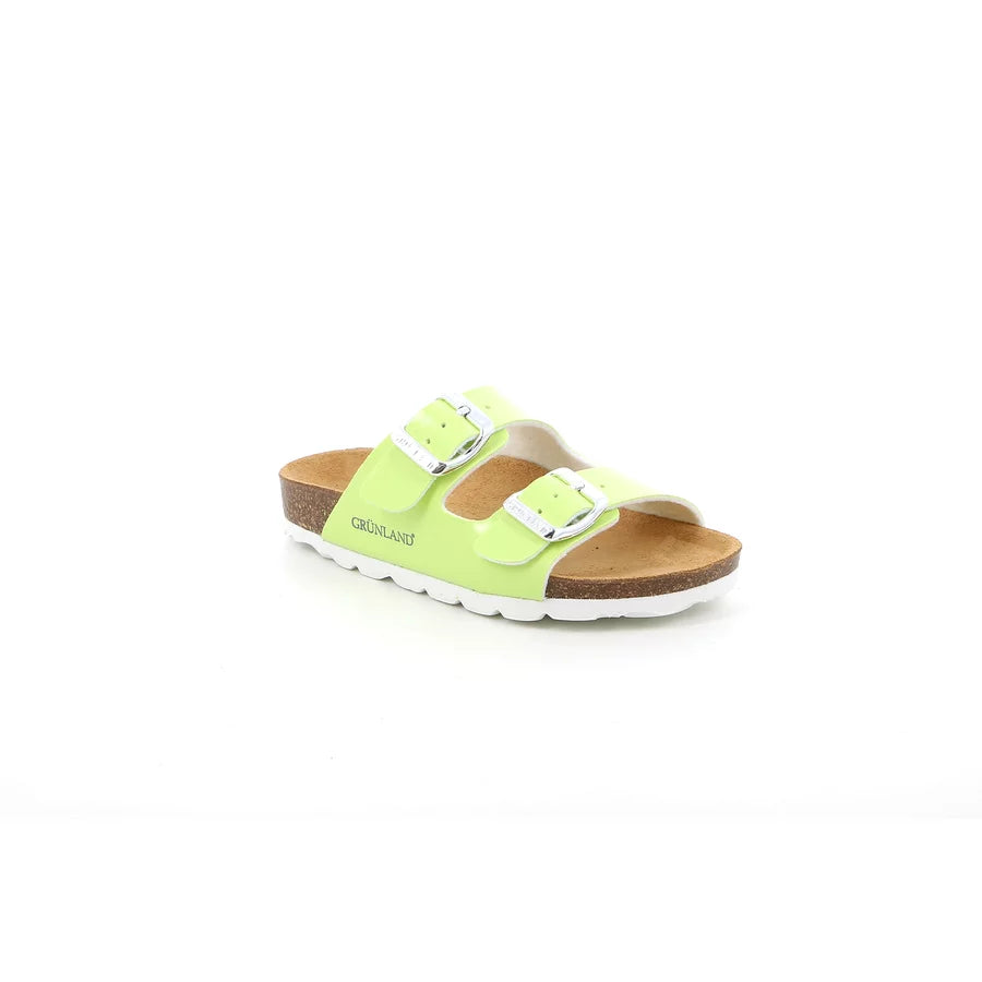 gid://shopify/Product/15711324569932_57335075373388