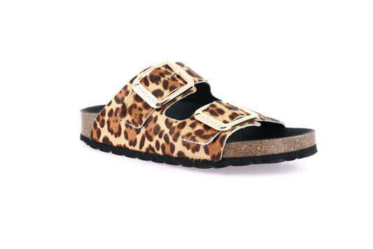 gid://shopify/Product/15754356490572_57519520612684