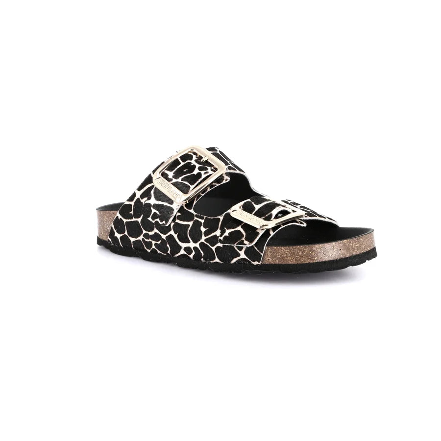 gid://shopify/Product/15754356490572_57519521333580