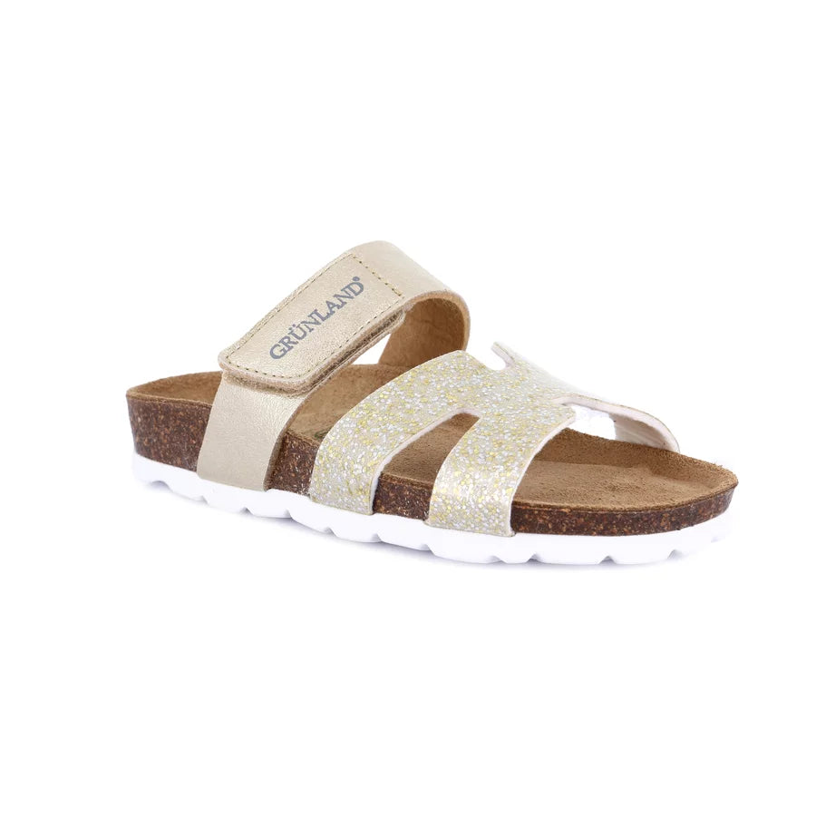 gid://shopify/Product/15713082278220_1
