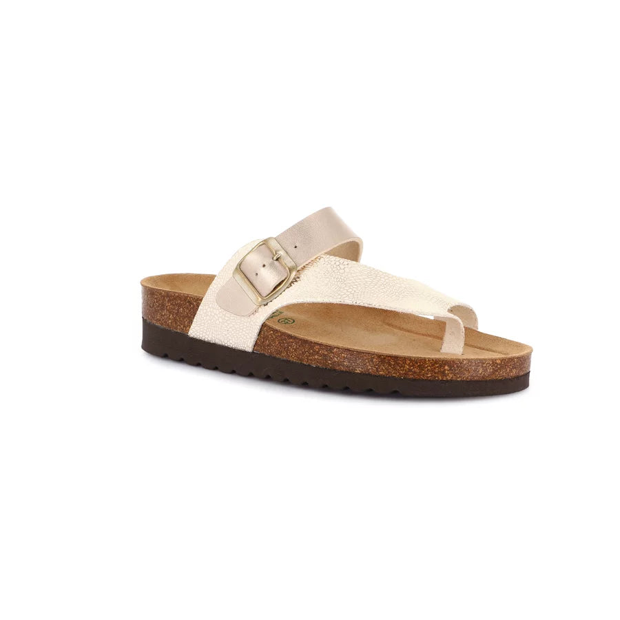 gid://shopify/Product/15712367477068_1