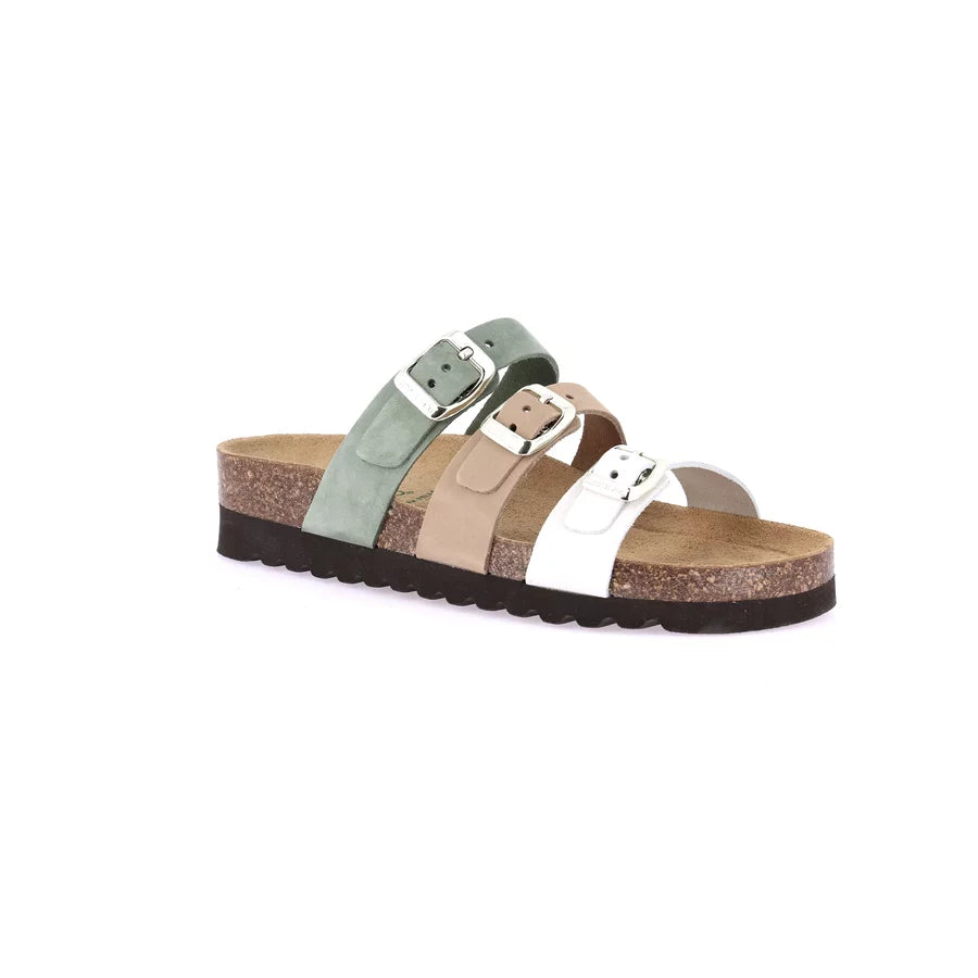 gid://shopify/Product/15754369827148_57519538078028