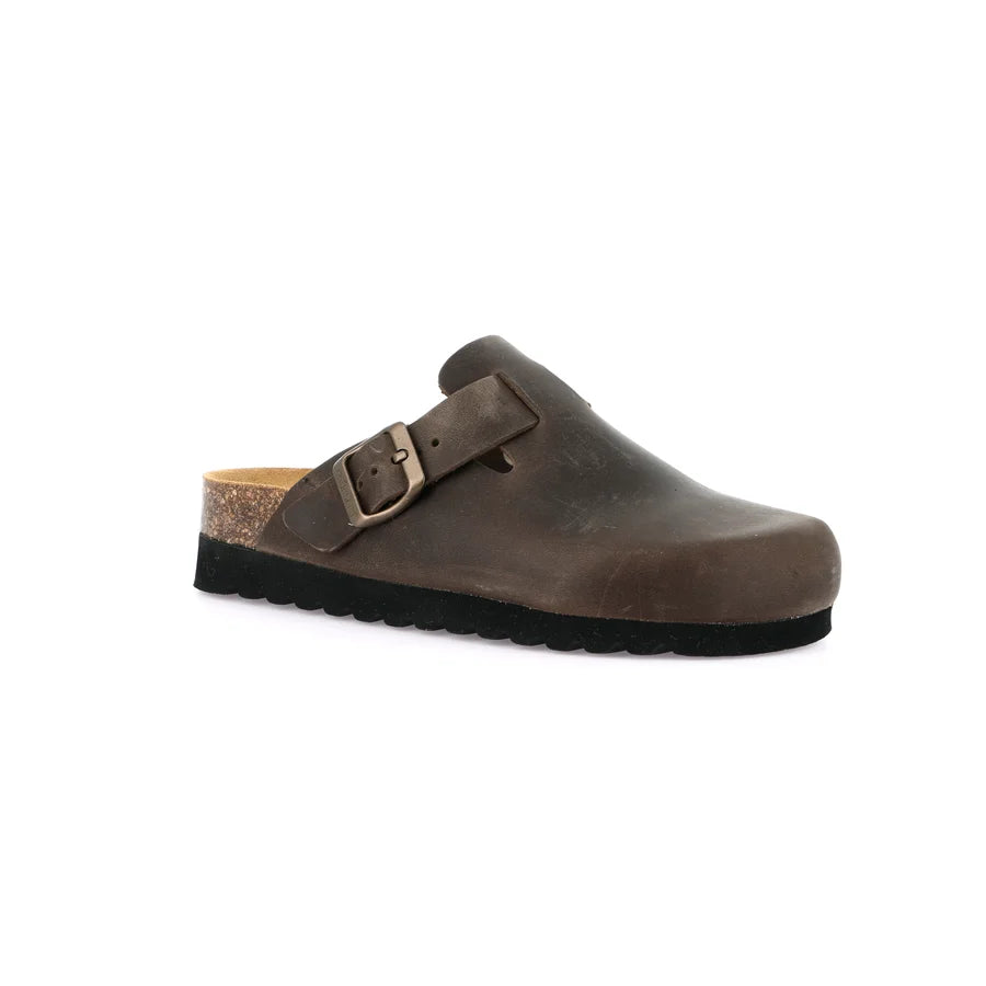 gid://shopify/Product/15711789744460_57337402982732