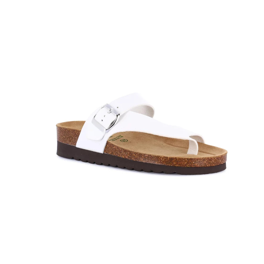 gid://shopify/Product/15711815991628_1