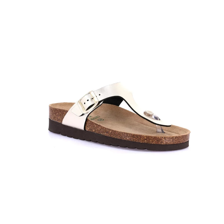 gid://shopify/Product/15752148615500_57512210891084