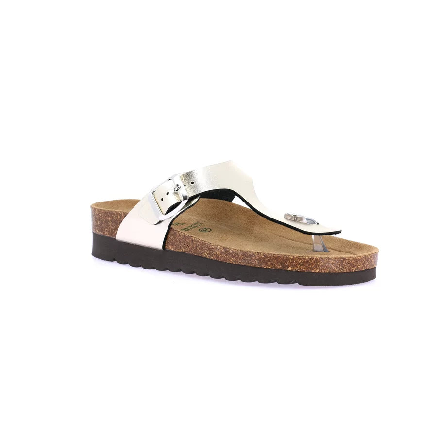 gid://shopify/Product/15752148615500_57512209940812