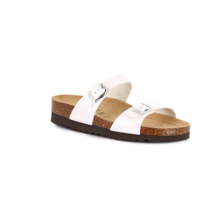 gid://shopify/Product/15752165163340_57512253587788