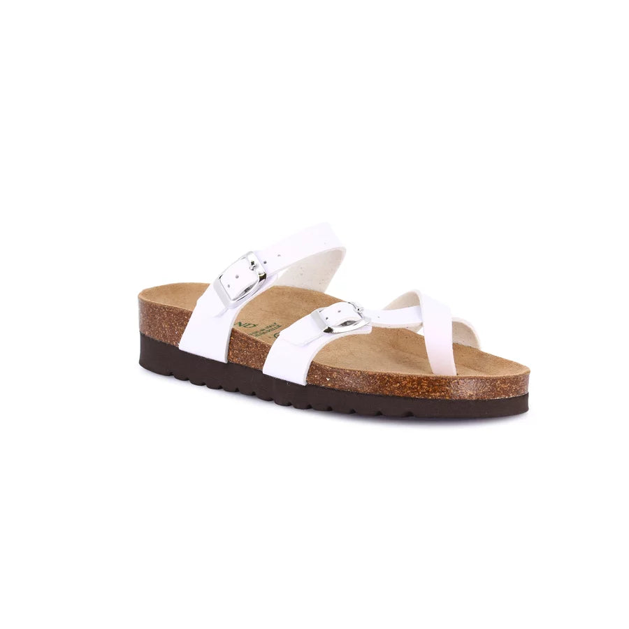 gid://shopify/Product/15752409645388_57513494970700