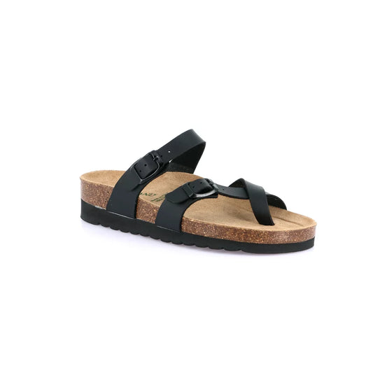 gid://shopify/Product/15752409645388_57513498149196