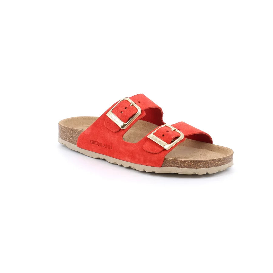 gid://shopify/Product/15752417444172_57513537438028