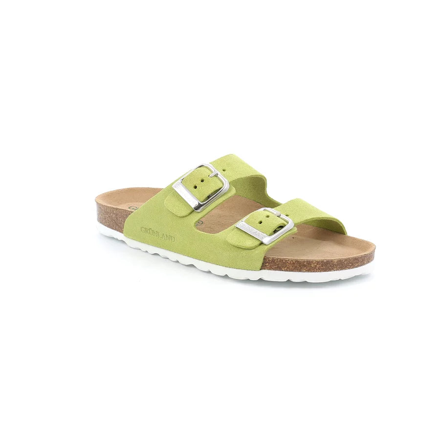 gid://shopify/Product/15752417444172_57513537405260