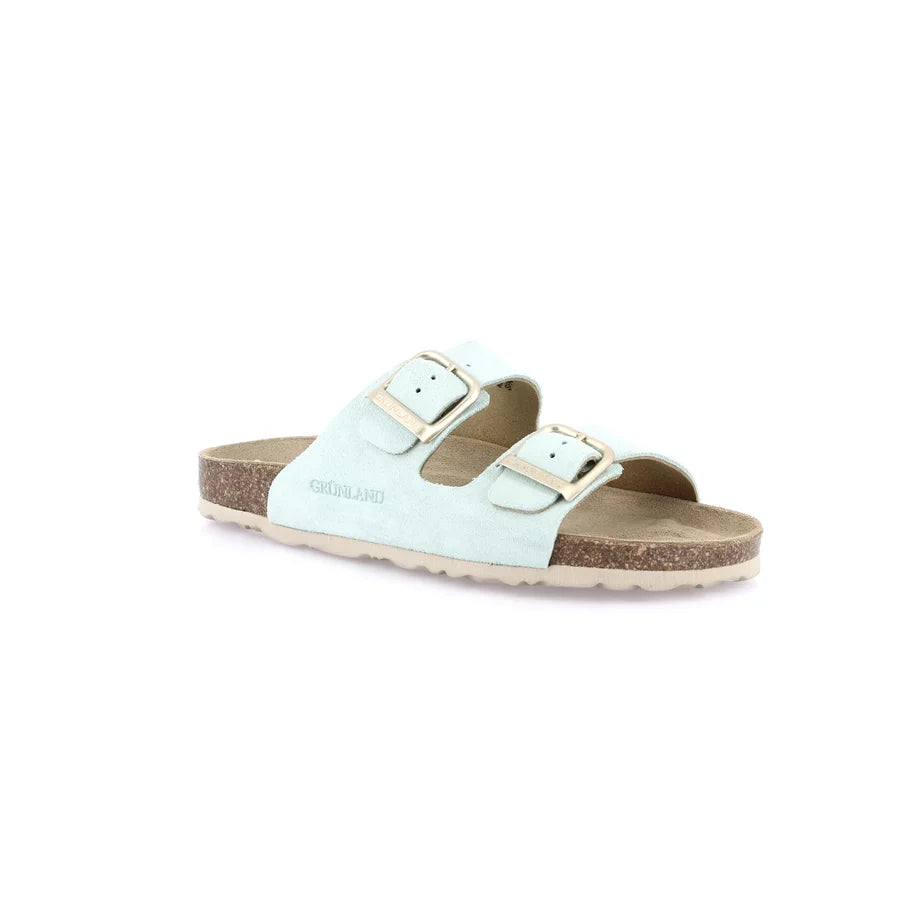 gid://shopify/Product/15752417444172_57513538289996
