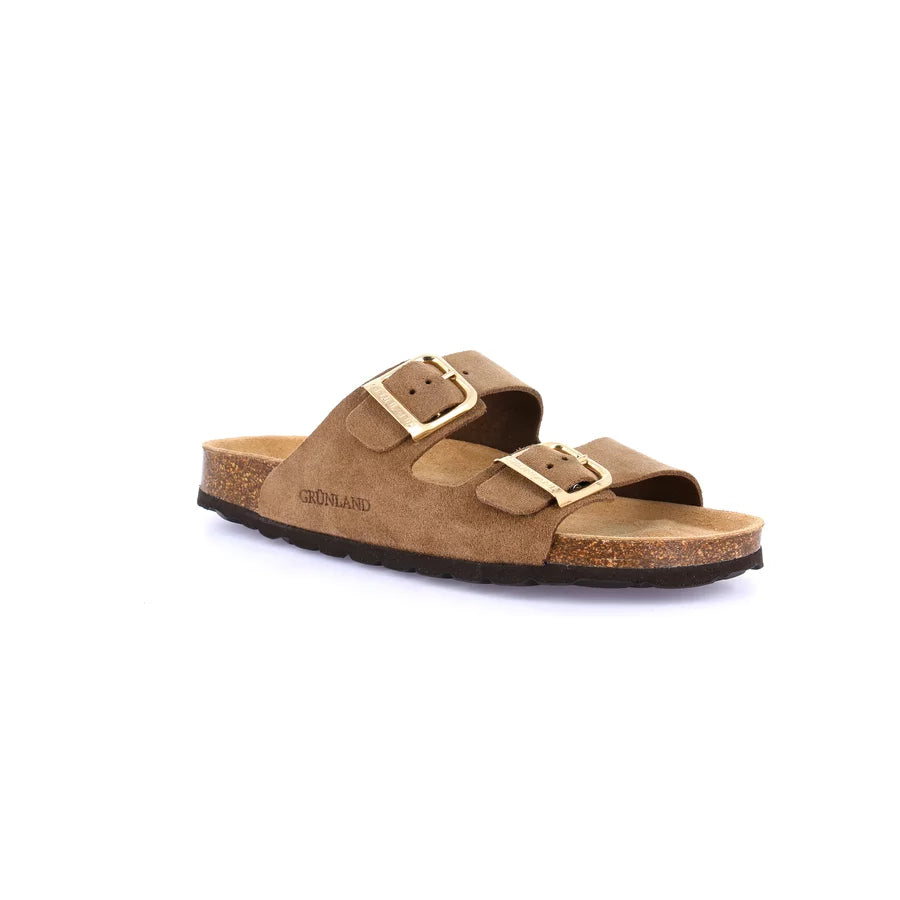 gid://shopify/Product/15752417444172_57513537470796