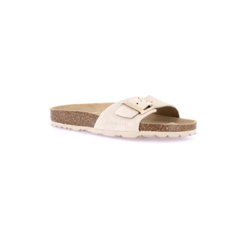gid://shopify/Product/15752454865228_57513755476300