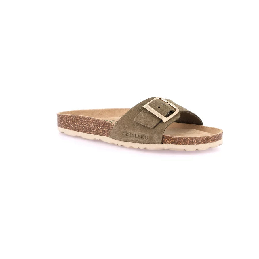 gid://shopify/Product/15752454865228_57513733849420