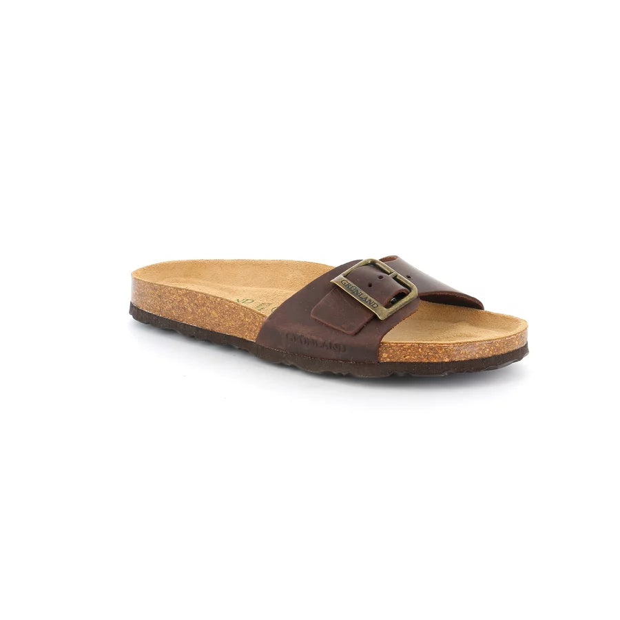 gid://shopify/Product/15796963541324_57717919285580