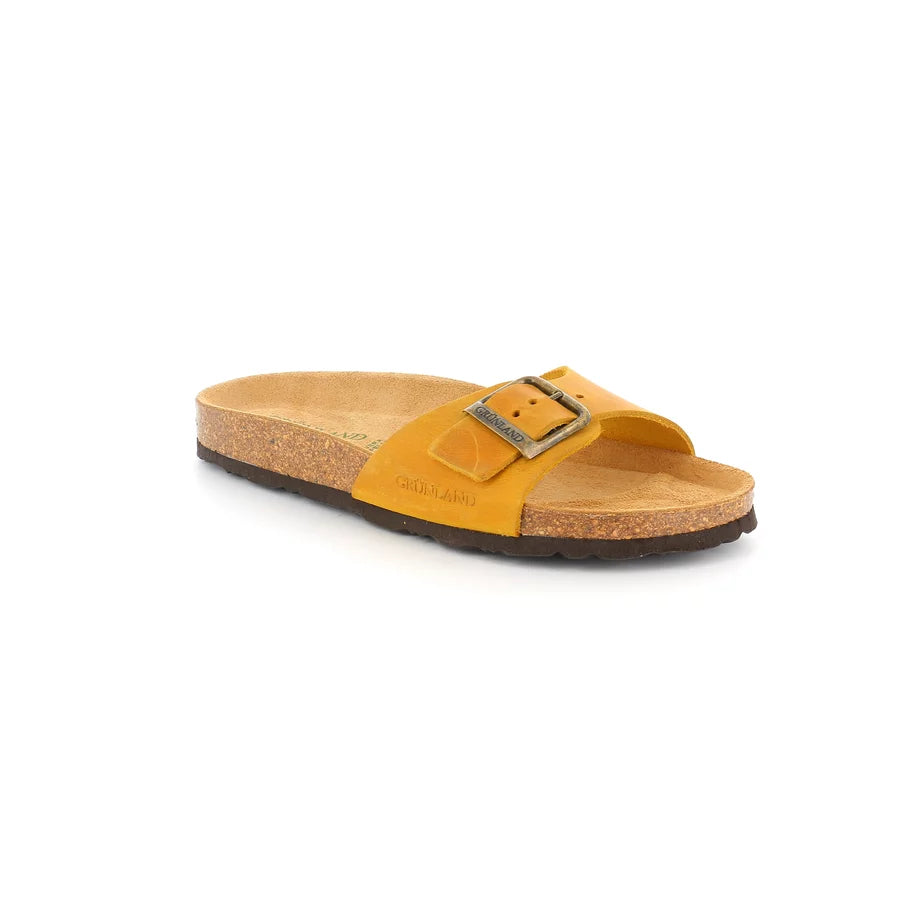 gid://shopify/Product/15796963541324_57717915779404