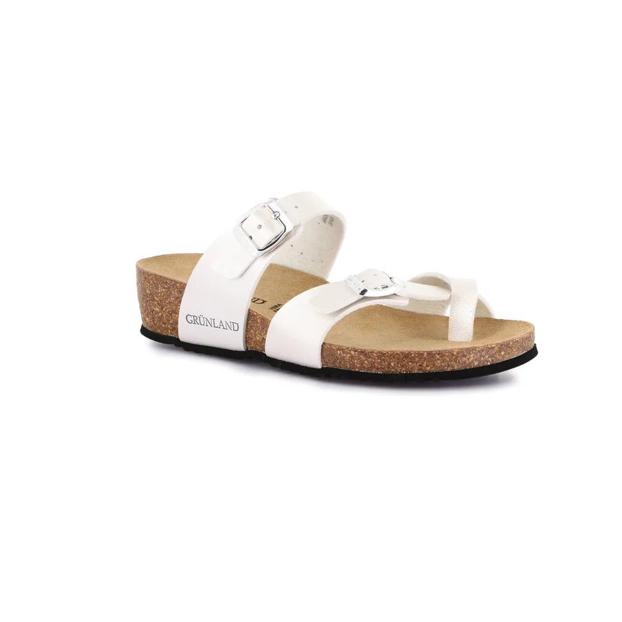 gid://shopify/Product/15753762373964_57518062436684
