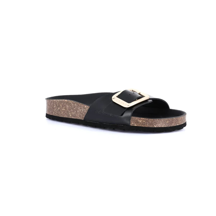 gid://shopify/Product/15753865658700_57518273429836