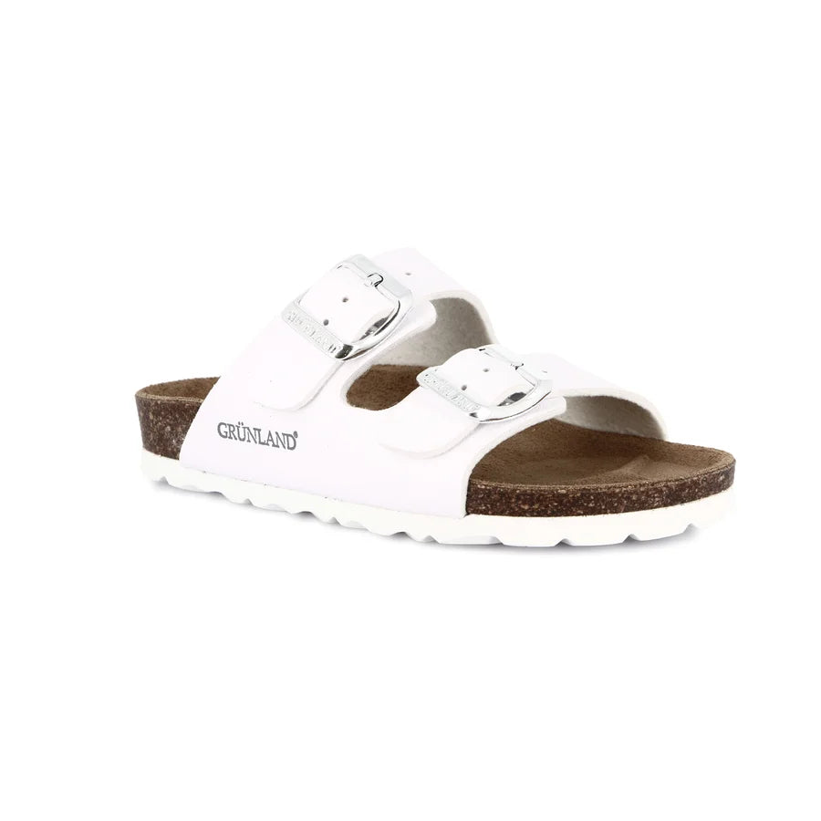 gid://shopify/Product/15711918883148_57338427146572