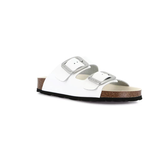 gid://shopify/Product/15753859531084_57518258880844
