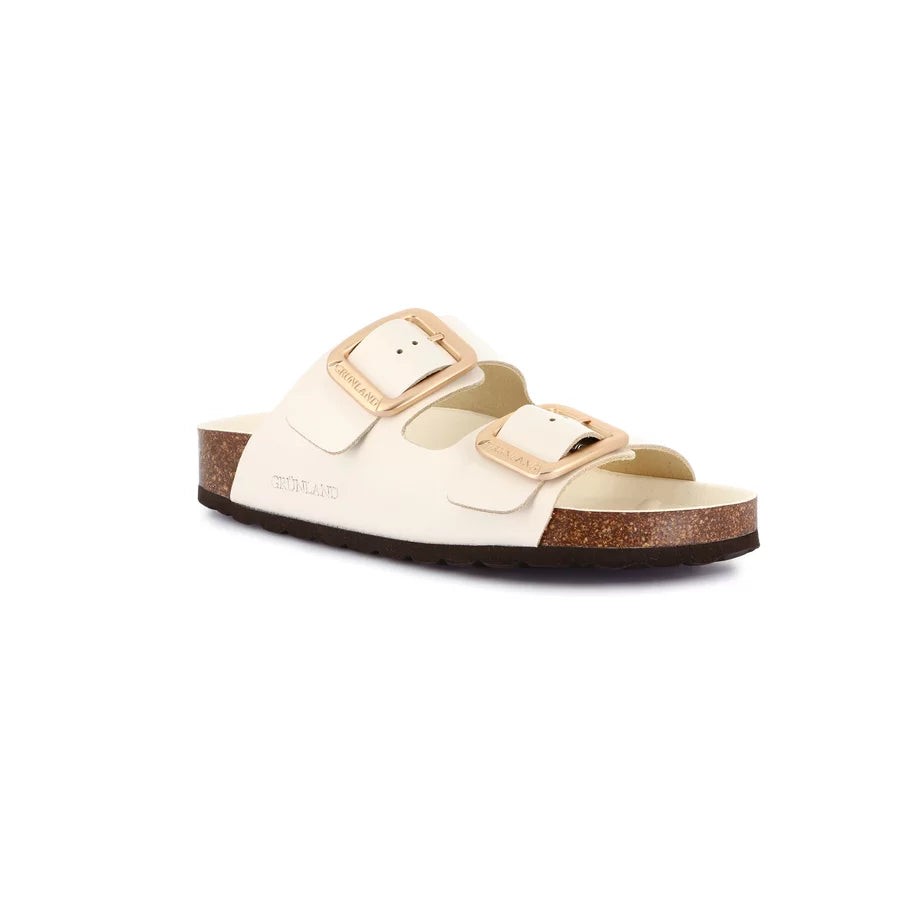 gid://shopify/Product/15753859531084_57518262190412