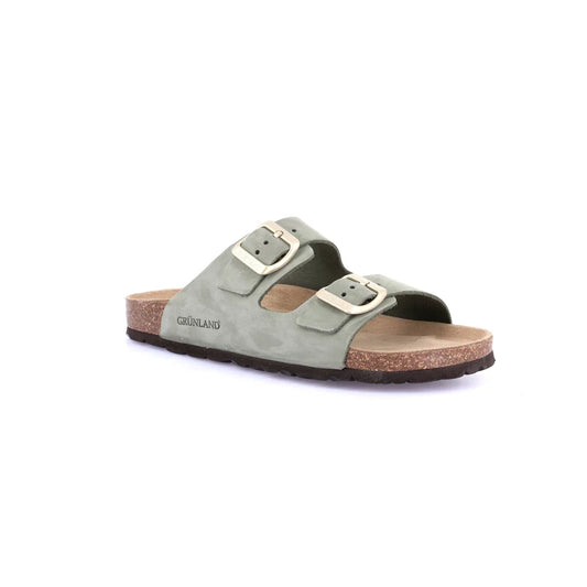gid://shopify/Product/15754376708428_57519547875660