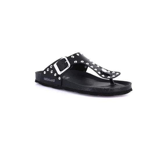 gid://shopify/Product/15712047694156_57339169997132