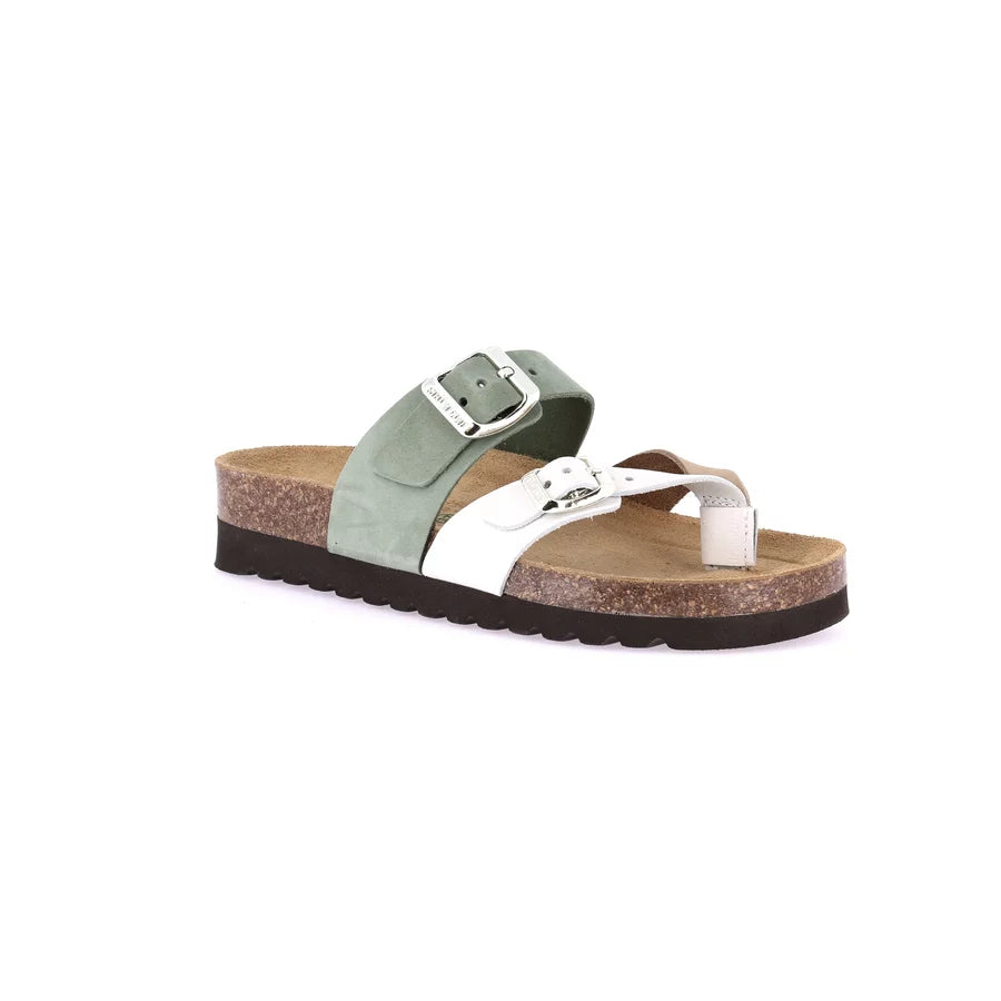 gid://shopify/Product/15712369574220_57339952726348