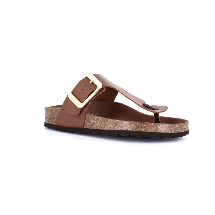 gid://shopify/Product/15711838929228_57337725944140