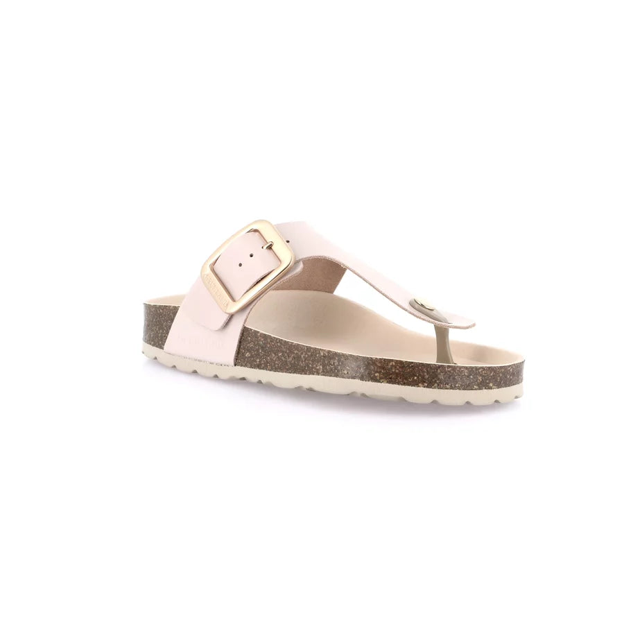 gid://shopify/Product/15711838929228_57337726140748