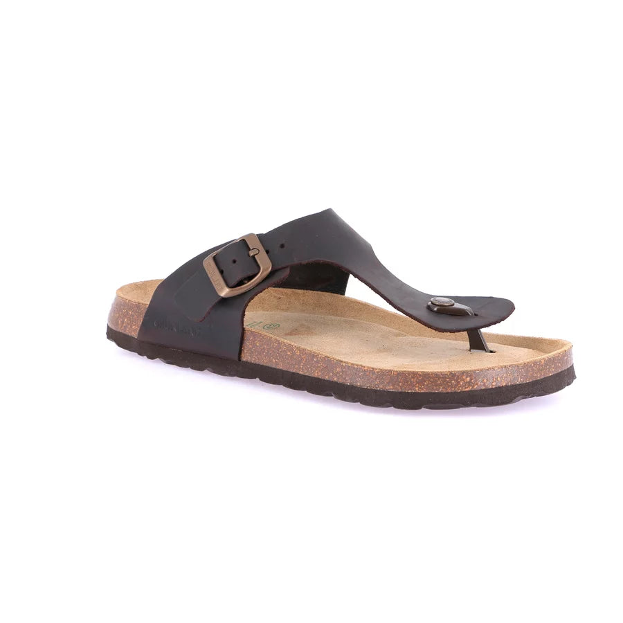 gid://shopify/Product/15711306842444_1
