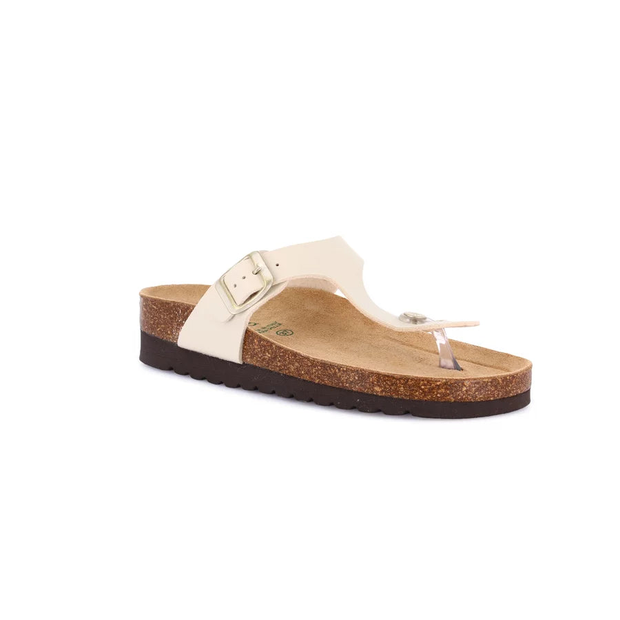 gid://shopify/Product/15752445034828_1