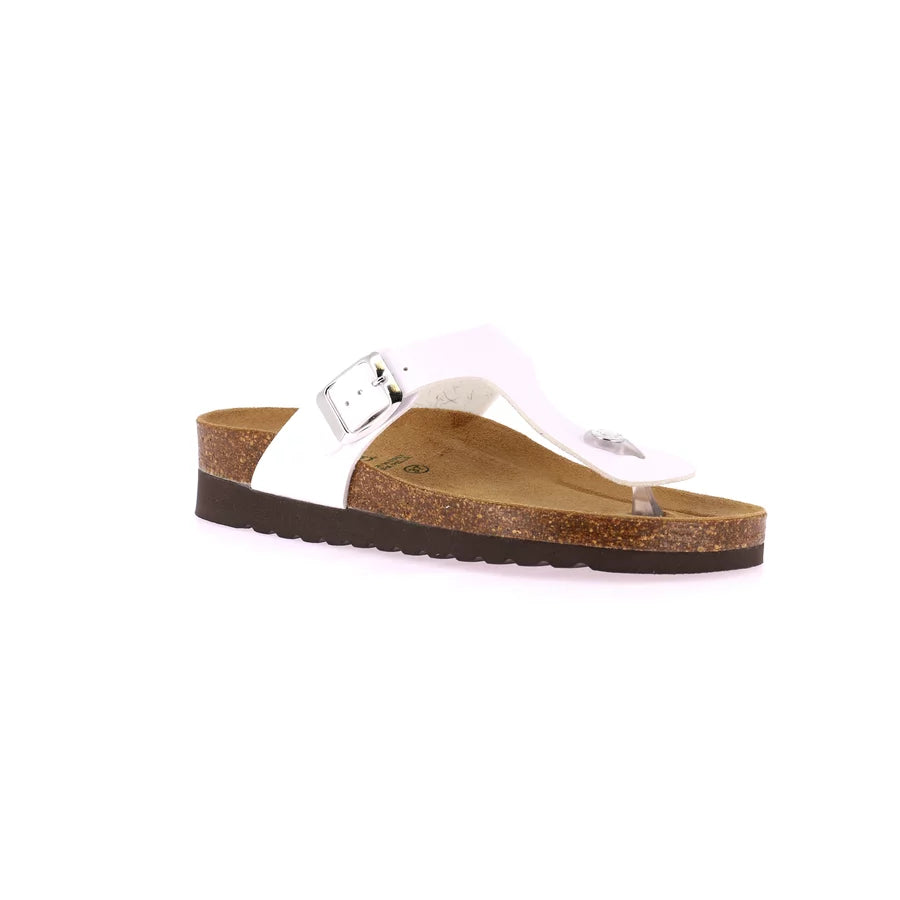 gid://shopify/Product/15752445034828_57513670541644