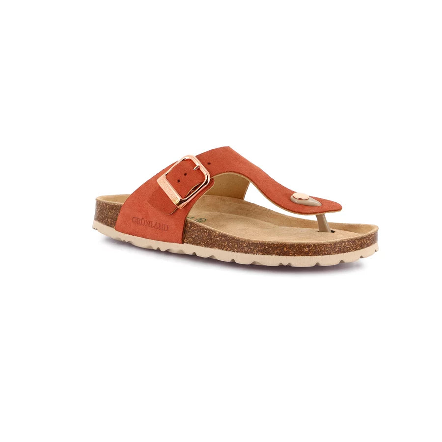 gid://shopify/Product/15752466989388_57513852338508