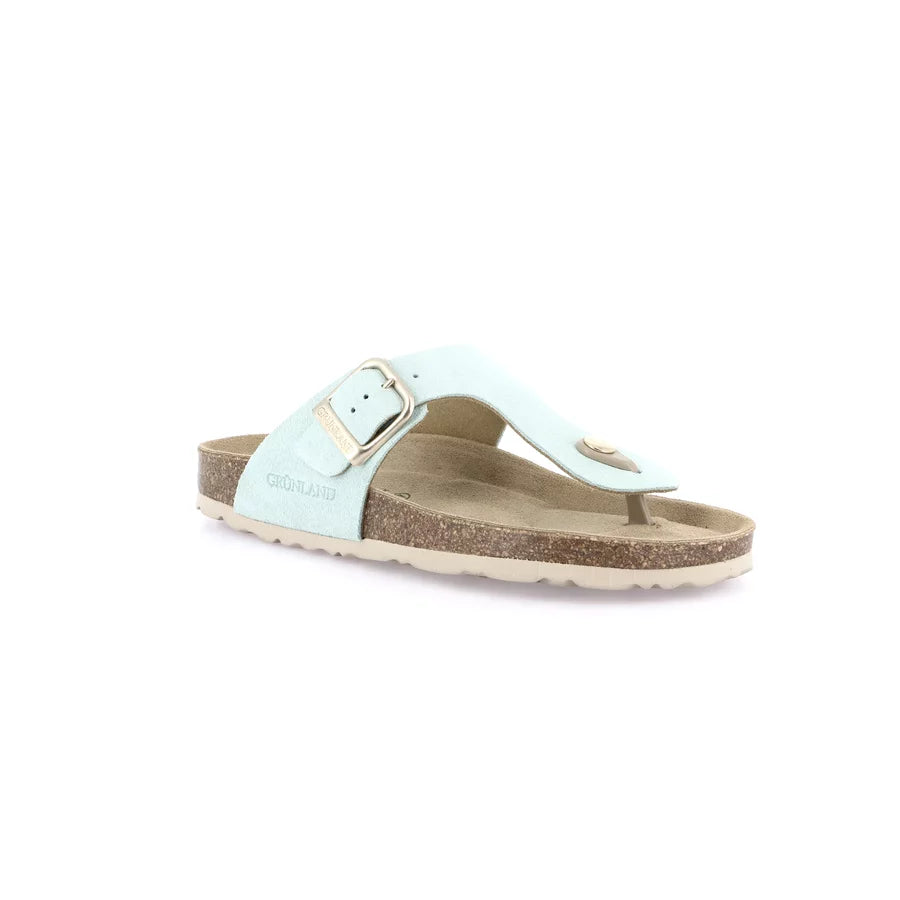 gid://shopify/Product/15752466989388_57513853288780